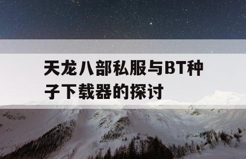 天龙八部私服与BT种子下载器的探讨