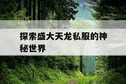 探索盛大天龙私服的神秘世界