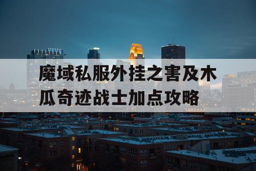 魔域私服外挂之害及木瓜奇迹战士加点攻略