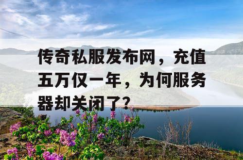 传奇私服发布网，充值五万仅一年，为何服务器却关闭了？