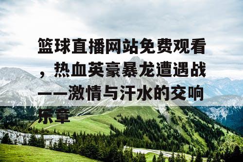 篮球直播网站免费观看，热血英豪暴龙遭遇战——激情与汗水的交响乐章