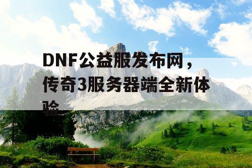 DNF公益服发布网，传奇3服务器端全新体验