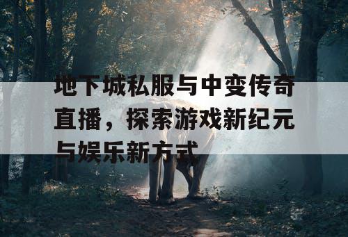 地下城私服与中变传奇直播，探索游戏新纪元与娱乐新方式