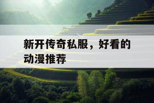 新开传奇私服，好看的动漫推荐