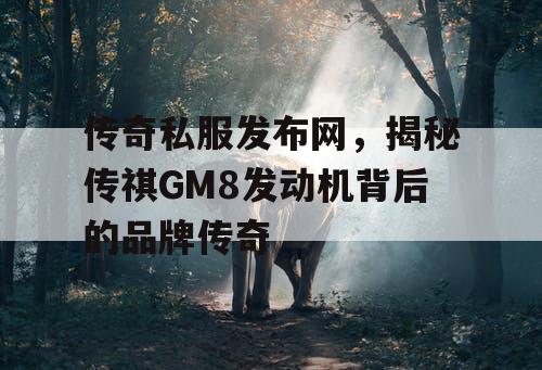 传奇私服发布网，揭秘传祺GM8发动机背后的品牌传奇