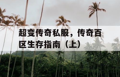 超变传奇私服，传奇百区生存指南（上）