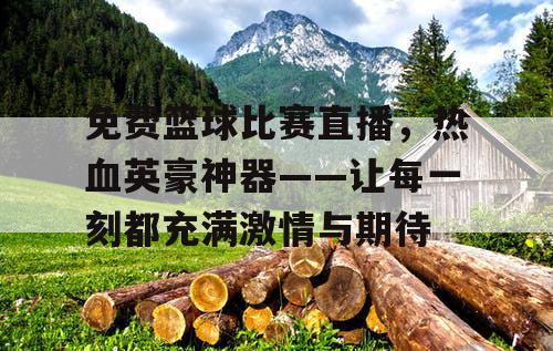 免费篮球比赛直播，热血英豪神器——让每一刻都充满激情与期待