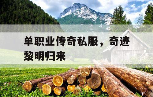 单职业传奇私服，奇迹黎明归来