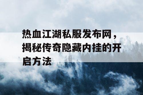 热血江湖私服发布网，揭秘传奇隐藏内挂的开启方法
