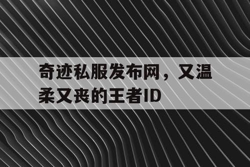 奇迹私服发布网，又温柔又丧的王者ID