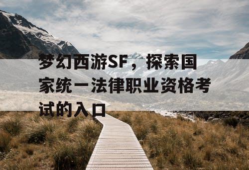 梦幻西游SF，探索国家统一法律职业资格考试的入口