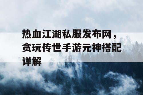 热血江湖私服发布网，贪玩传世手游元神搭配详解