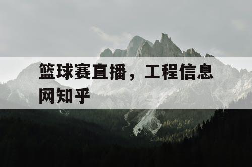 篮球赛直播，工程信息网知乎