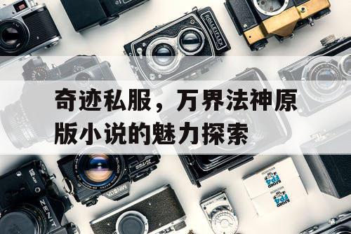 奇迹私服，万界法神原版小说的魅力探索