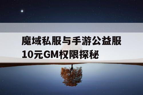 魔域私服与手游公益服10元GM权限探秘