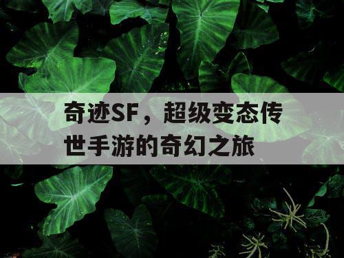 奇迹SF，超级变态传世手游的奇幻之旅
