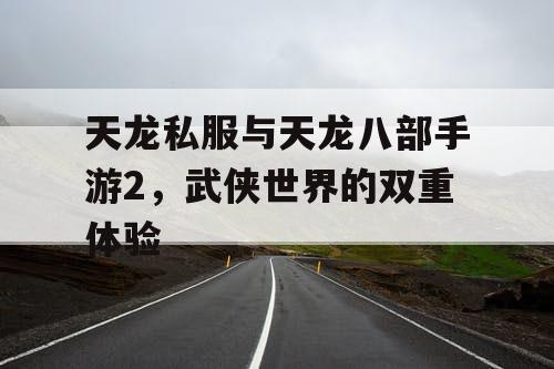 天龙私服与天龙八部手游2，武侠世界的双重体验