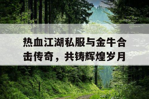 热血江湖私服与金牛合击传奇，共铸辉煌岁月