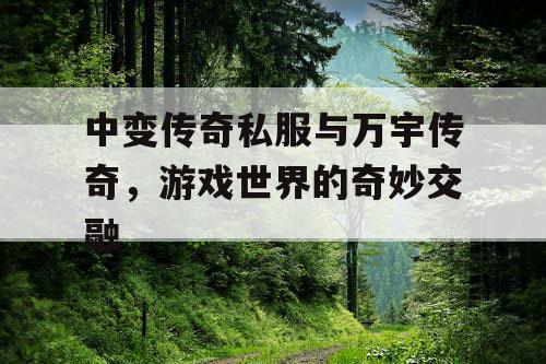 中变传奇私服与万宇传奇，游戏世界的奇妙交融