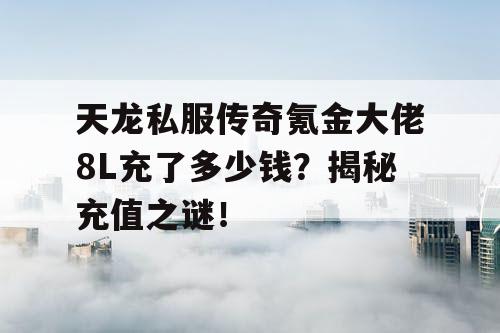 天龙私服传奇氪金大佬8L充了多少钱？揭秘充值之谜！