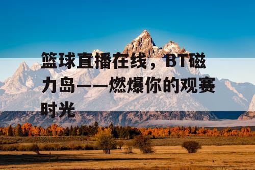 篮球直播在线，BT磁力岛——燃爆你的观赛时光