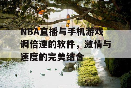 NBA直播与手机游戏调倍速的软件，激情与速度的完美结合