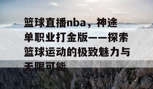 篮球直播nba，神途单职业打金版——探索篮球运动的极致魅力与无限可能