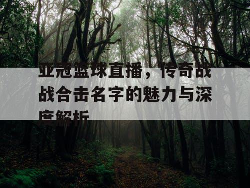亚冠篮球直播，传奇战战合击名字的魅力与深度解析