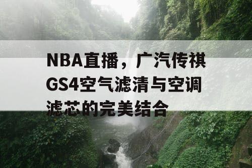 NBA直播，广汽传祺GS4空气滤清与空调滤芯的完美结合