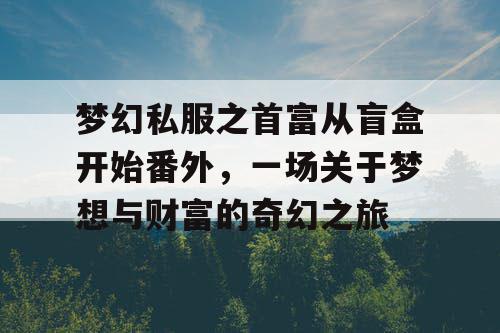 梦幻私服之首富从盲盒开始番外，一场关于梦想与财富的奇幻之旅